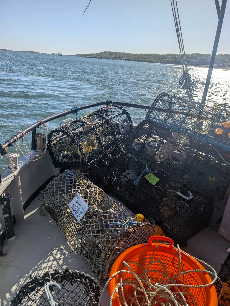 Hummertinor och en orange korg ombord på en båt i solsken.